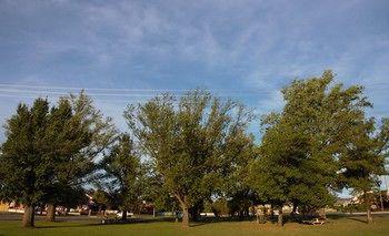 Motel Parkhaven 3*